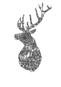 品牌插畫平面設(shè)計 視覺語言與商業(yè)價值的完美融合