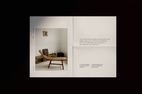 融合自然與室內(nèi) BSWL品牌形象設(shè)計在平面設(shè)計中的創(chuàng)新表達(dá)